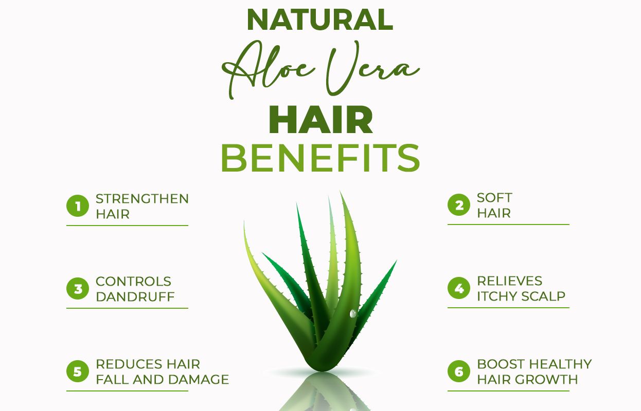 Infographic with aloe vera in the middle and advantages all-around